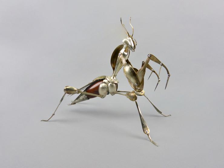 Hybrid Gallery Dean Patman Devil's Flower Mantis