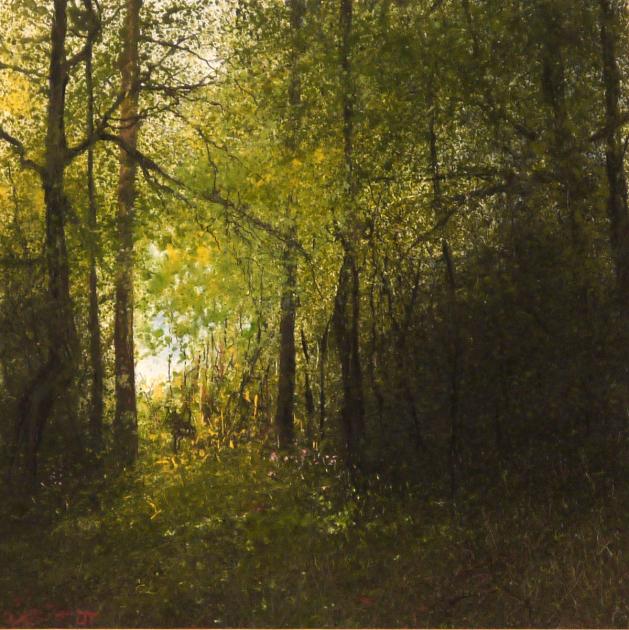 Hybrid Gallery John Thornton A Glimpse of Light at the Edge of the Wood