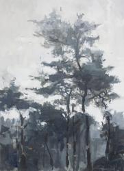 Hybrid Gallery Jon Doran Trees and Mist
