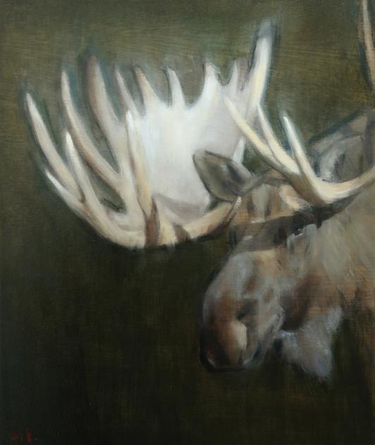 Hybrid Gallery Annika Talsi Mr Moose