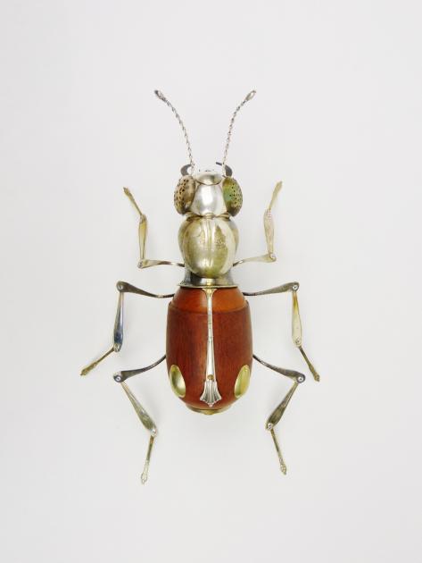 Hybrid Gallery Dean Patman Tiger Beetle