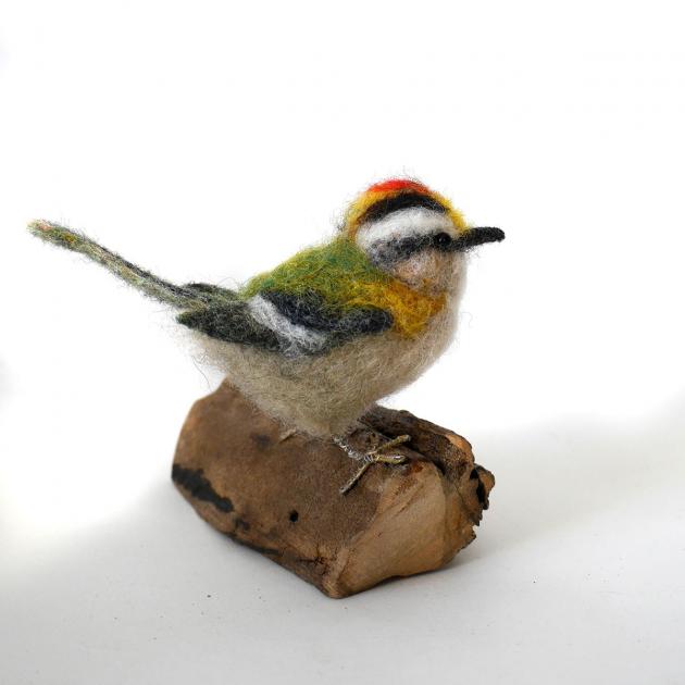 Hybrid Gallery Gemma Bee Firecrest