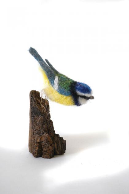 Hybrid Gallery Gemma Bee Blue Tit