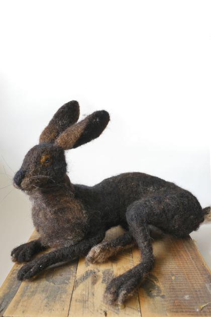 Hybrid Gallery Gemma Bee Large Black Hare