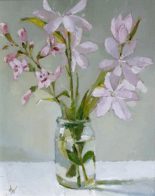 Hybrid Gallery Annie Waring Hesperantha and Penstemon in Jar