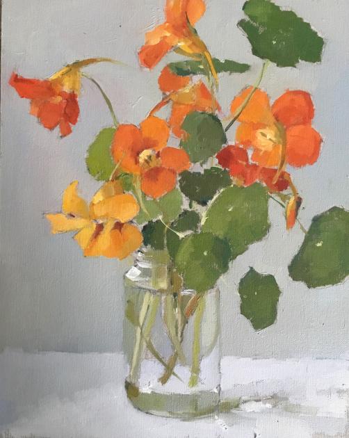 Hybrid Gallery Annie Waring Nasturtiums