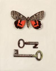 Red Winged Moth with Keys