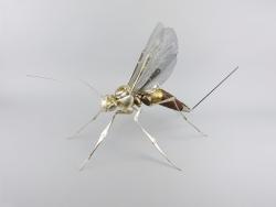 Hybrid Gallery Dean Patman Wood Wasp