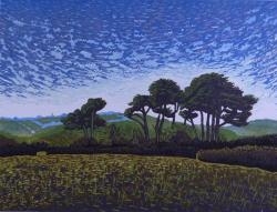 Hybrid Gallery Peter Ursem Trees Above Cotehele