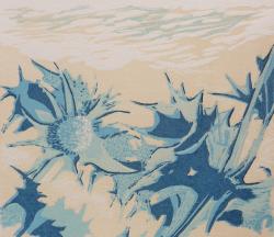 Hybrid Gallery Judith Westcott Sea Holly