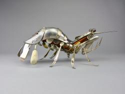 Hybrid Gallery Dean Patman Mantis Shrimp