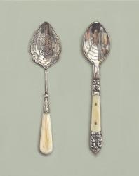 Hybrid Gallery Rachel Ross Two Bone Handled Spoons