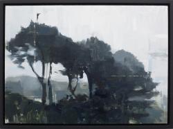 Hybrid Gallery Jon Doran Trees in the Mist 3