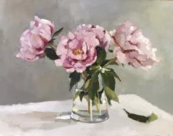 Hybrid Gallery Annie Waring Peonies Sarah Bernhardt