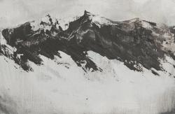 Hybrid Gallery Serena Curmi Snow  Capped