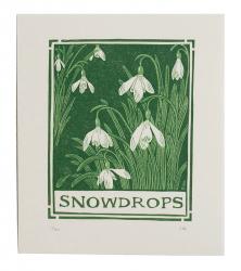 Hybrid Gallery Sophie Elm Snowdrops